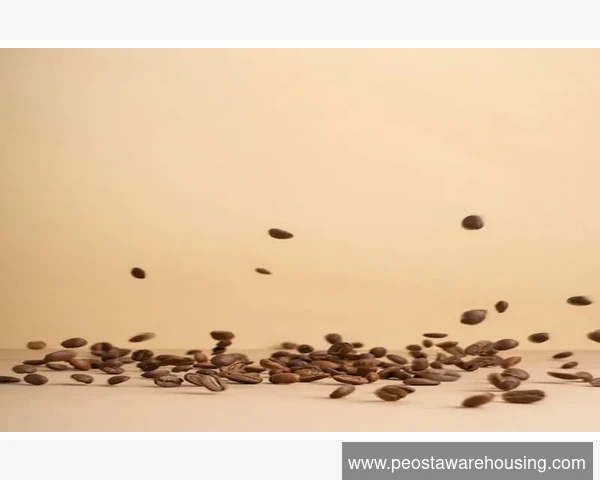 手冲拉花与Peet‘s咖啡奶泡差异对比